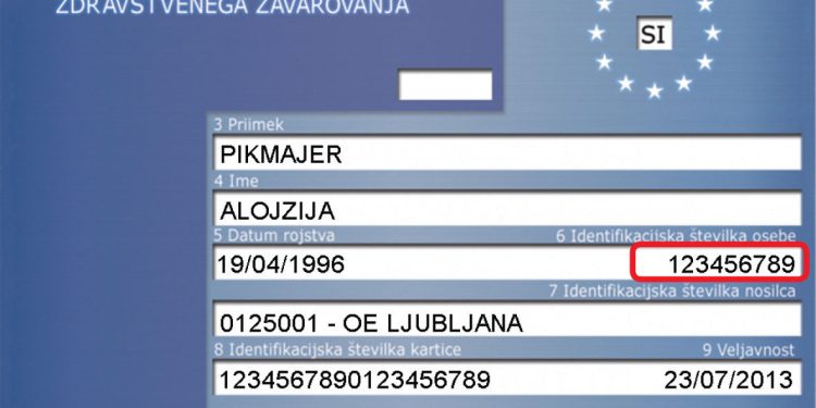 Pred odhodom v tujino