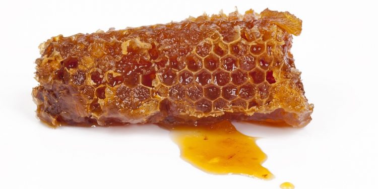 Propolis