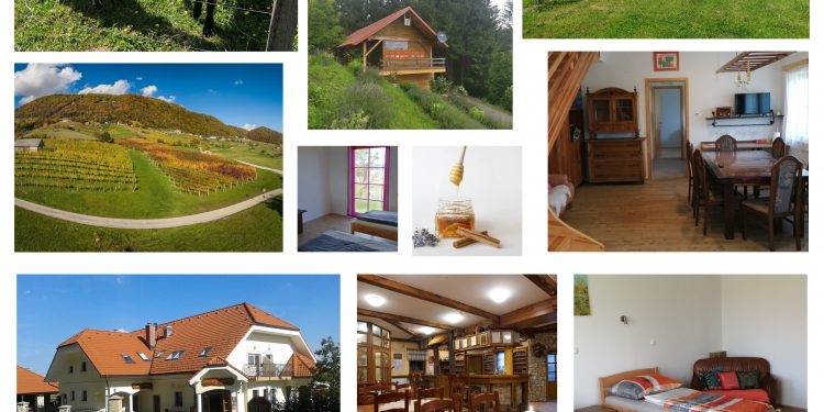 Identifikacija pogojev vključenosti uporabnika v programe (celo)dnevnega bivanja starejših na kmetiji